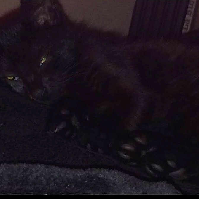 Siouxsie