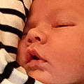 Jackson