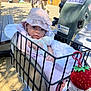 baby, infant, hat, blanket, basket, mobility_scooter, toy, strawberry_toy, outdoor, daylight, person, clothing, hand, foot, metal, wheel, bench, shadow, people, background