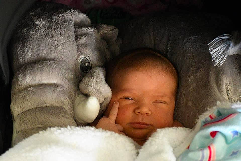 Guinevere Wright joined the competition — help win amazing prizes! baby, cheek, chin, comfort, ear, eye, eyebrow, facial_expression, finger, gesture, head, human, mammal, mouth, nose, organ, organism, person, product, skin