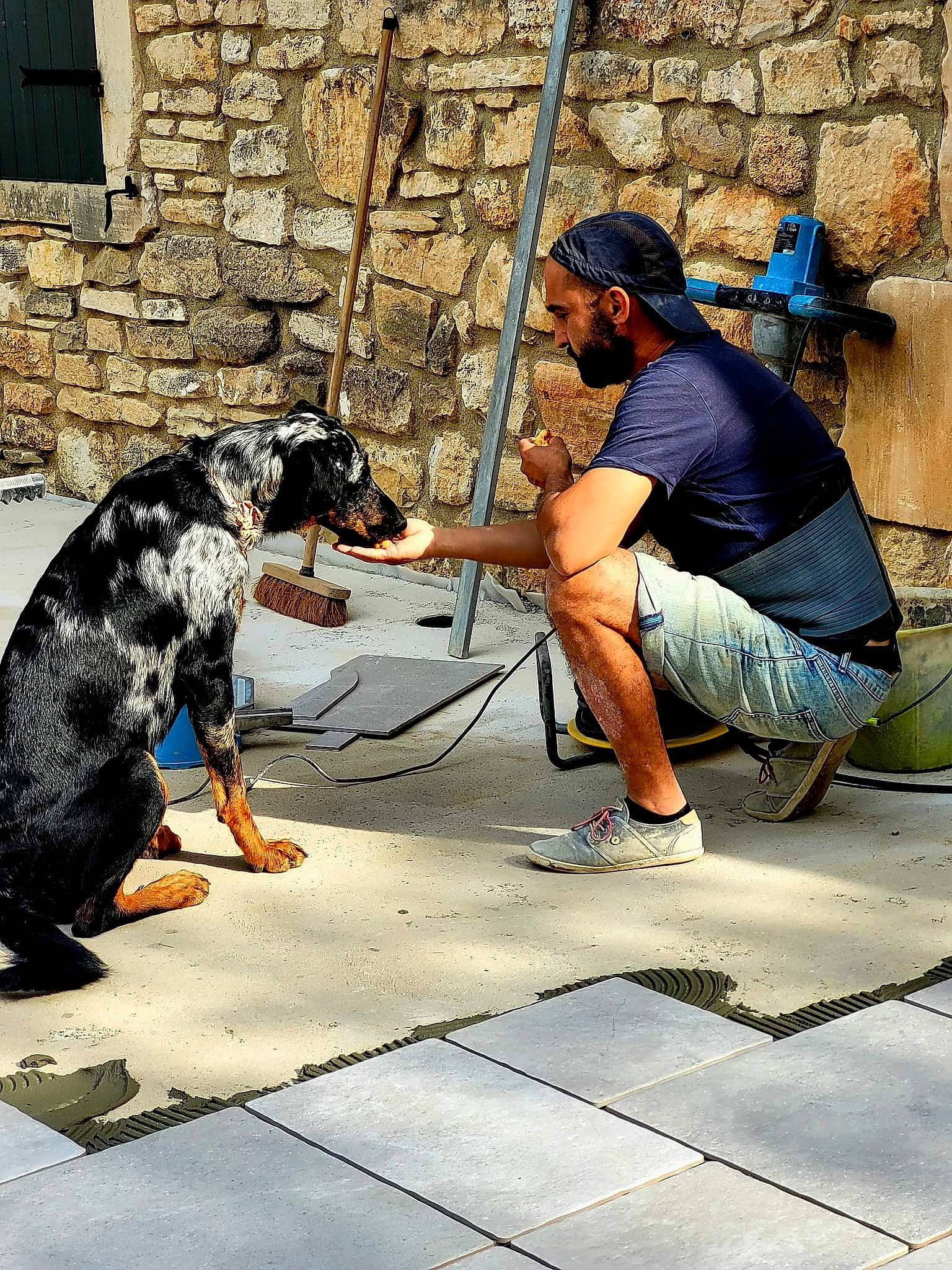 Sansa a rejoint le concours — aidez-le/la à gagner de superbes lots ! asphalt, backpack, bag, carnivore, cobblestone, concrete, dog, dog_breed, flooring, hat, human_leg, luggage_and_bags, public_space, road, road_surface, sidewalk, sitting, snapshot, street, window