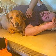 Molly joined the competition — help win amazing prizes! beard, brown_dog, carpet, casual_clothing, comfort, companionship, couch, dog, furniture, home, indoor, light_skin, living_room, person, pet, relaxed, resting, short_hair, sleeping, tablet