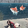 Nemo is registered to the contest to win money with this photo: dog, service_dog, training_vest, leash, sidewalk, painted_wall, fish_mural, outdoor, sunlight, animal, pet, resting, colorful, art, mural, bubbles, wall, pavement, canine, companion