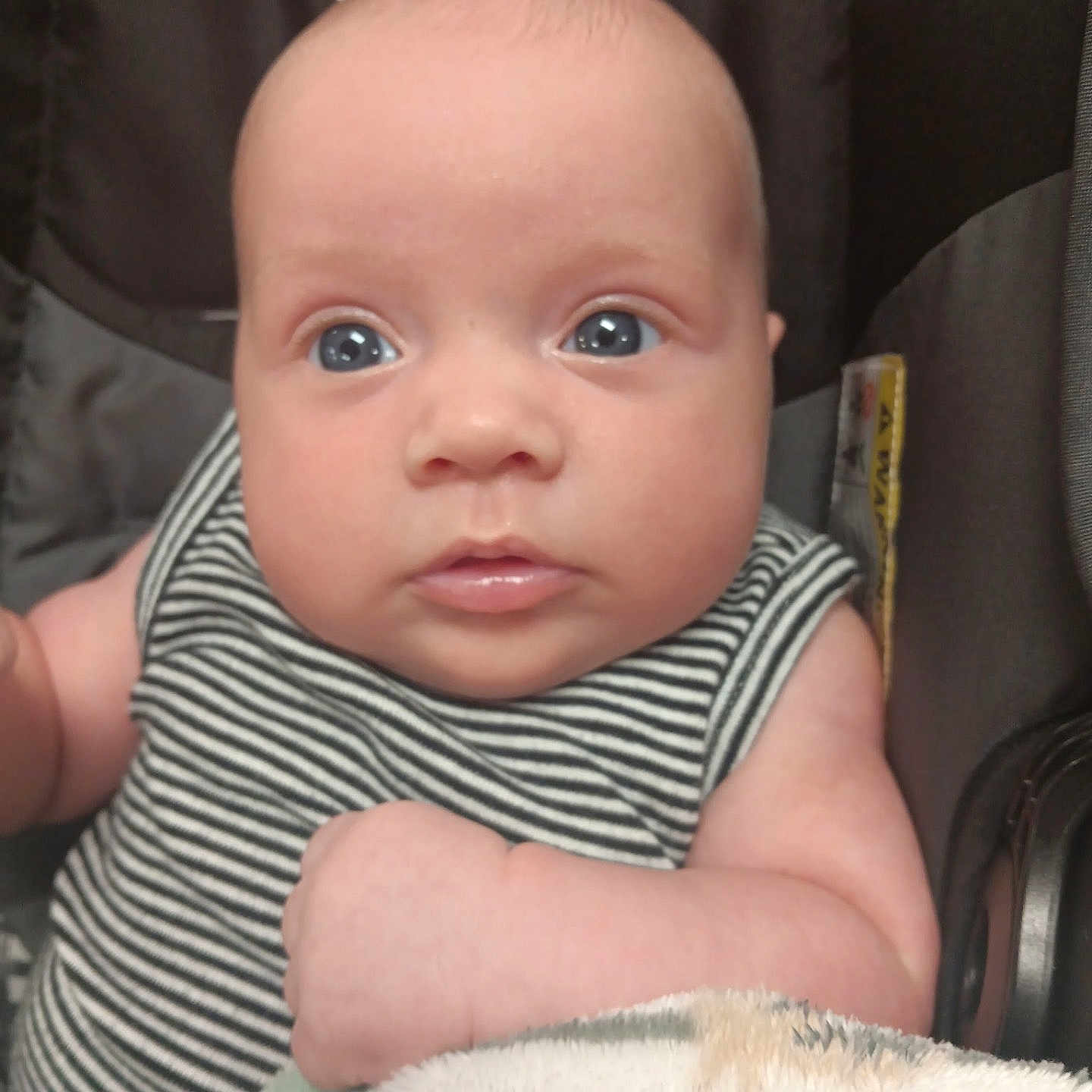 Cambrian joined the competition — help win amazing prizes! arm, baby, blanket, car_seat, child, closeup, clothing, cute, expression, eyes, face, head, indoors, infant, newborn, person, skin, sleeveless, striped, young