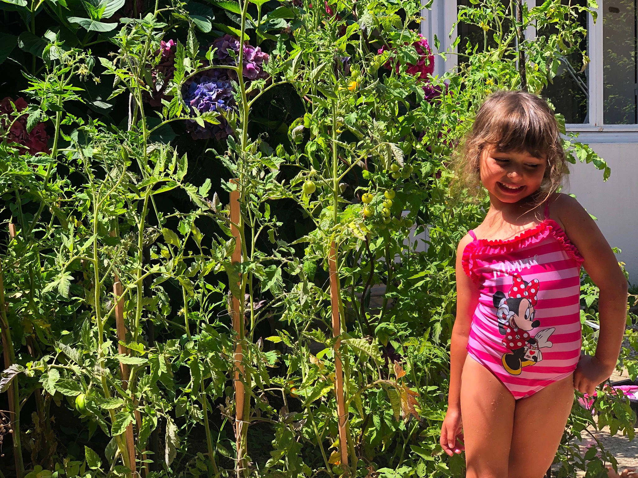 Lahna participe au concours pour gagner de l'argent avec cette photo : agriculture, annual_plant, automotive_wheel_system, botany, flower, flowering_plant, garden, gardening, grass, joy, leaf, pattern, people_in_nature, person, plant, plantation, rose_family, shrub, t_shirt, terrestrial_plant