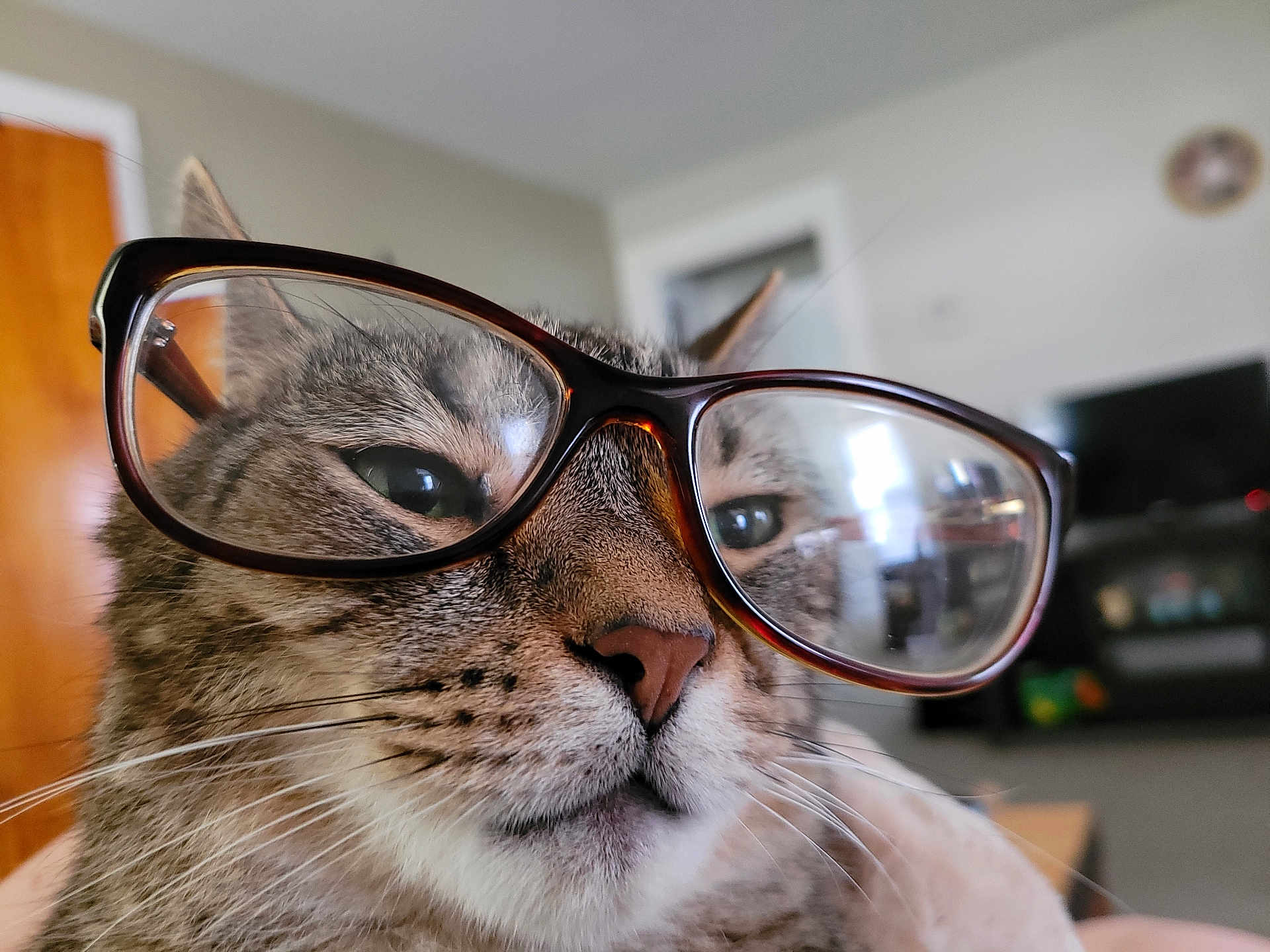 Felix