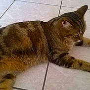 Grignette participe au concours pour gagner de l'argent avec cette photo :