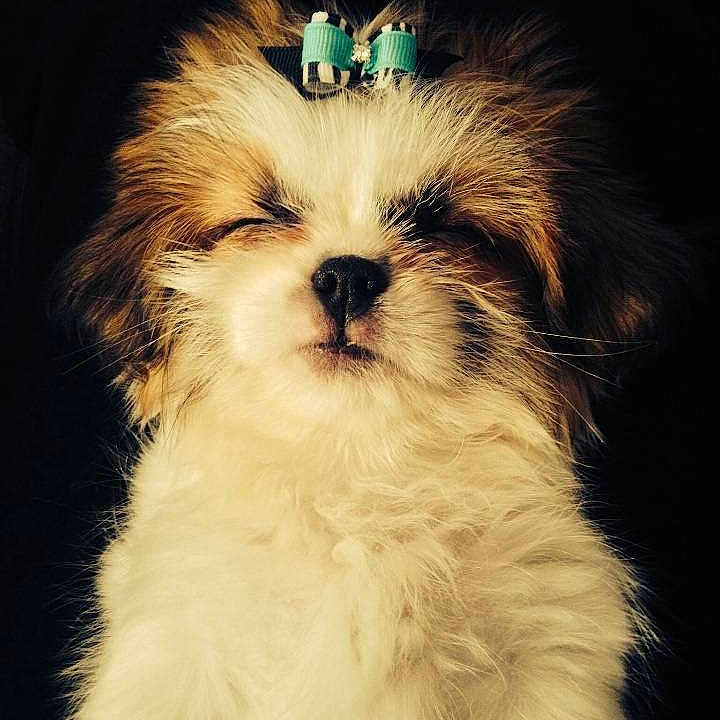 Dalilah is registered to the contest to win money with this photo: