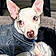 Wilbur