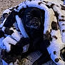 Renata is registered to the contest to win money with this photo: dog, pug, blanket, wrapped, cozy, bed, bedding, fur, black_fur, eyes, snout, pet, indoor, portrait, looking_up, paw, plush_blanket, patterned_bed, close_up, sleepy