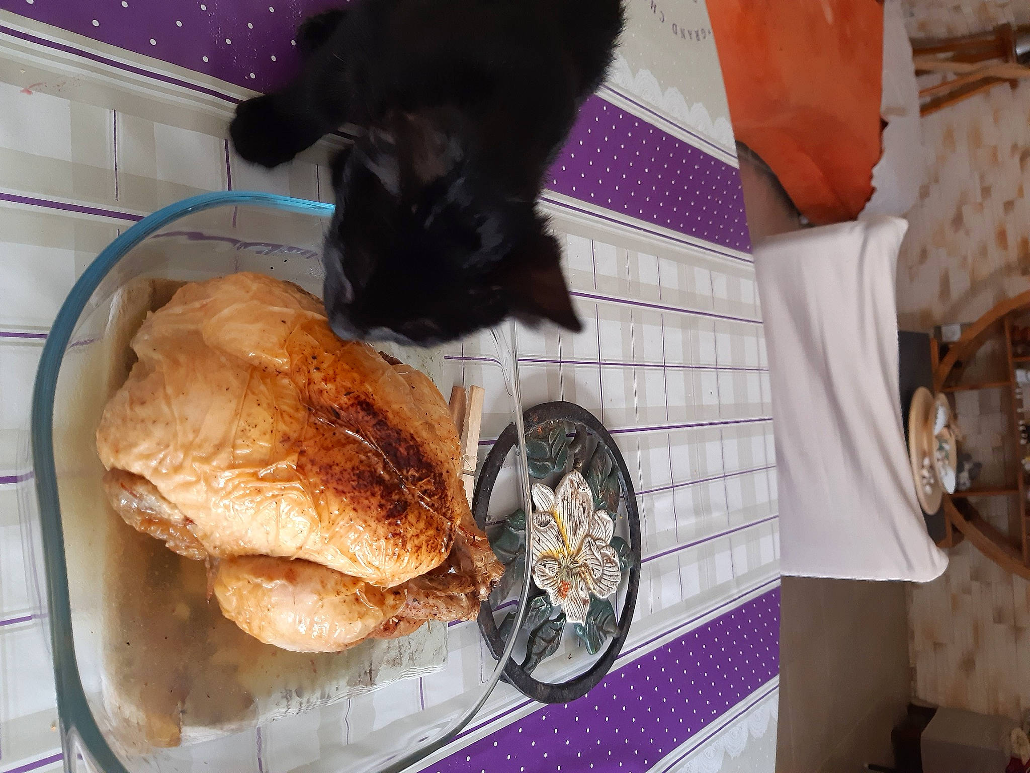 Bibou participe au concours pour gagner de l'argent avec cette photo : cat, cuisine, dish, food