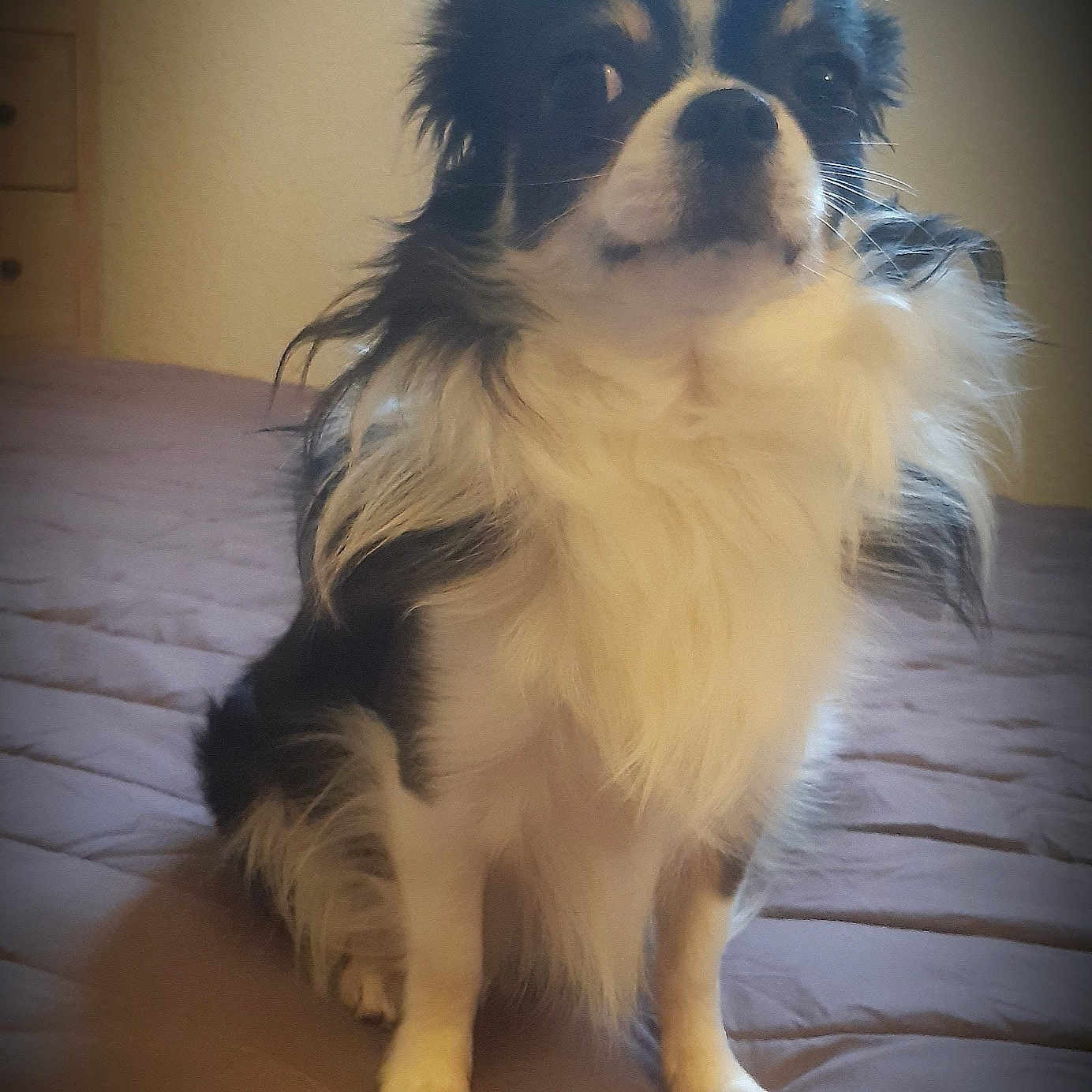 Stan