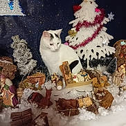 Minette participe au concours pour gagner de l'argent avec cette photo : cat, white_cat, black_spots, nativity_scene, christmas_tree, holiday_decorations, figurines, snow_effect, indoor, festive, celebration, winter_theme, ornaments, tinsel, stars, background, decor, animal, pet, holiday