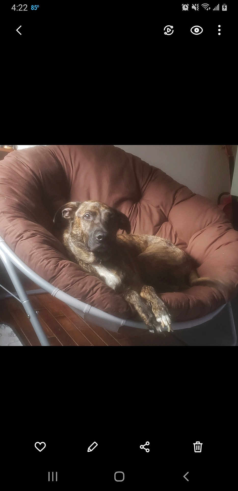 Benny