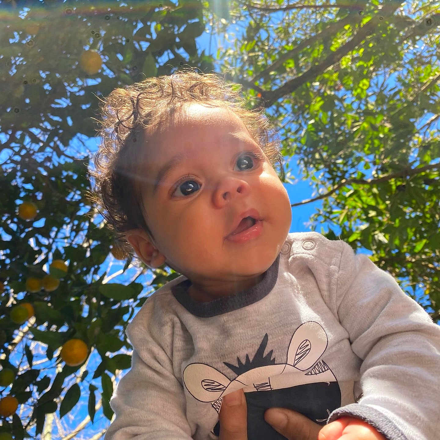 Joziah joined the competition — help win amazing prizes! baby, citrusfruit, clothing, face, food, fruit, head, leaf, nature, orange, outdoors, person, photography, plant, portrait, produce, sky, t_shirt, tree, vegetation