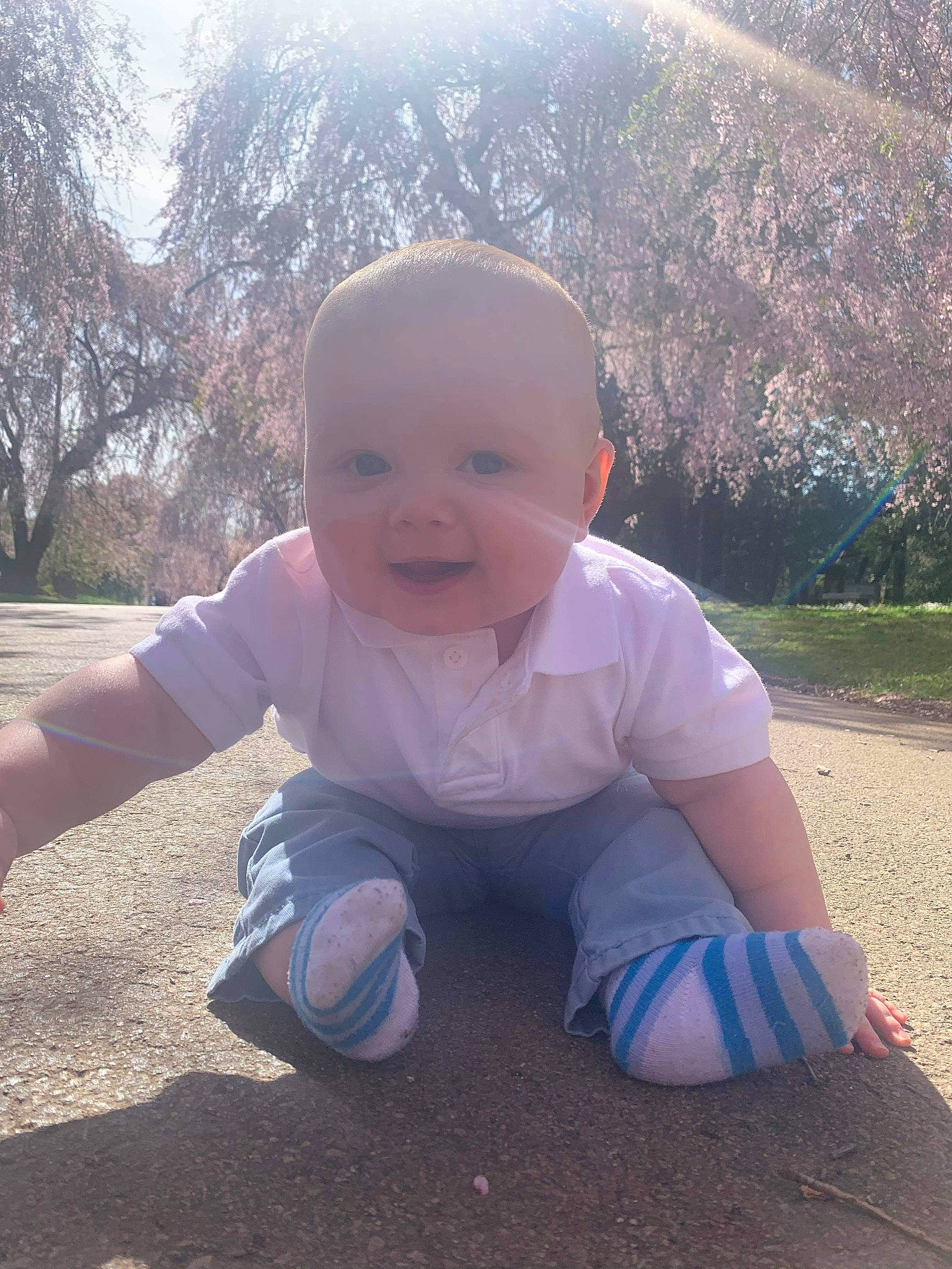 Aiden is registered to the contest to win money with this photo: baby, child, cool, grass, leaf, person, smile, toddler