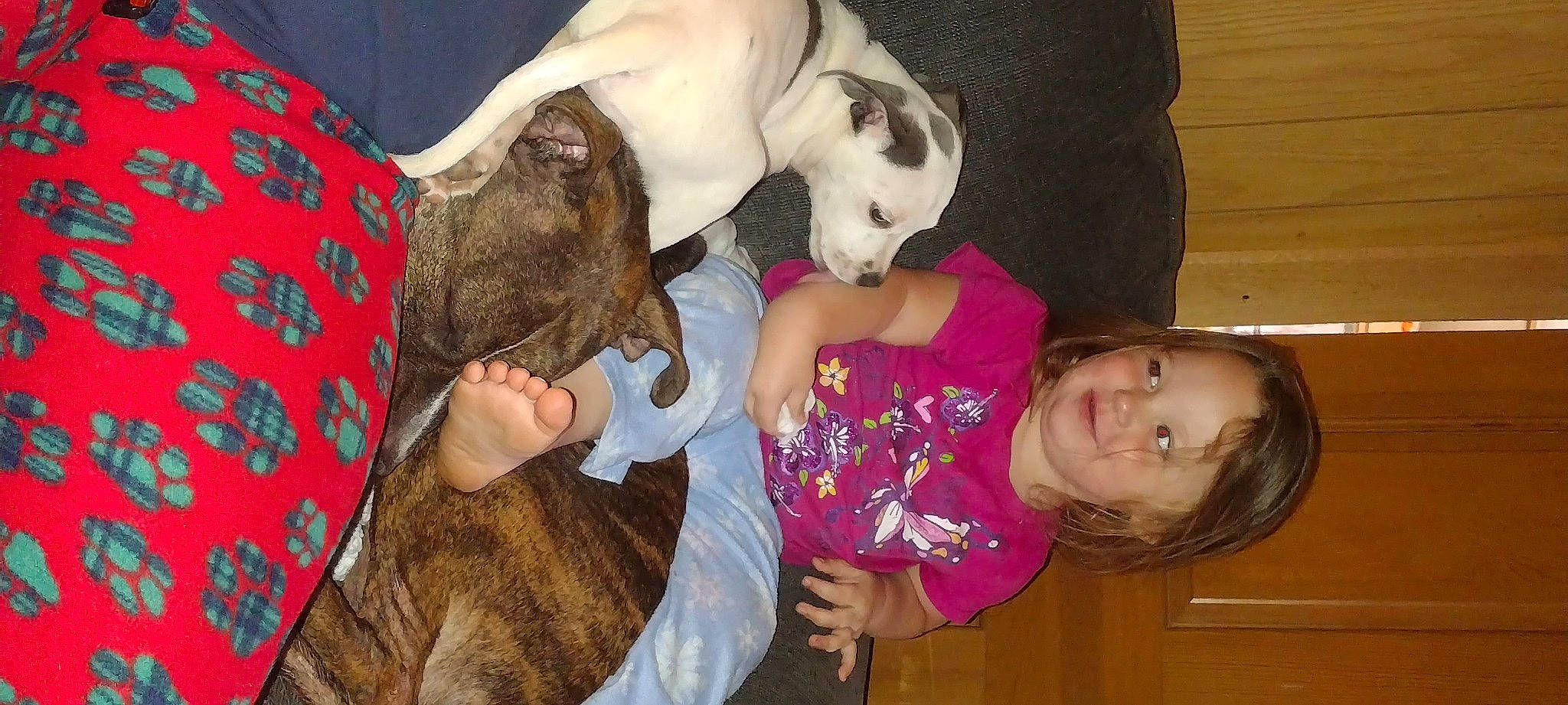 Nevaeh joined the competition — help win amazing prizes! baby, baby_toddler_clothing, canidae, carnivore, child, comfort, companion_dog, dog, dog_breed, fawn, fun, fur, happy, joy, paw, person, puppy_love, smile, sporting_group, toddler