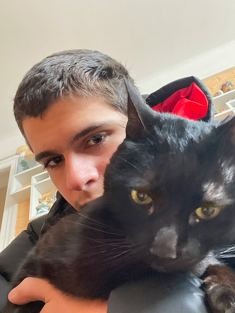 Réglisse a rejoint le concours — aidez-le/la à gagner de superbes lots ! black_cat, carnivore, cat, comfort, domestic_short_haired_cat, ear, felidae, formal_wear, fur, gesture, personal_protective_equipment, plant, sitting, small_to_medium_sized_cats, snout, whiskers