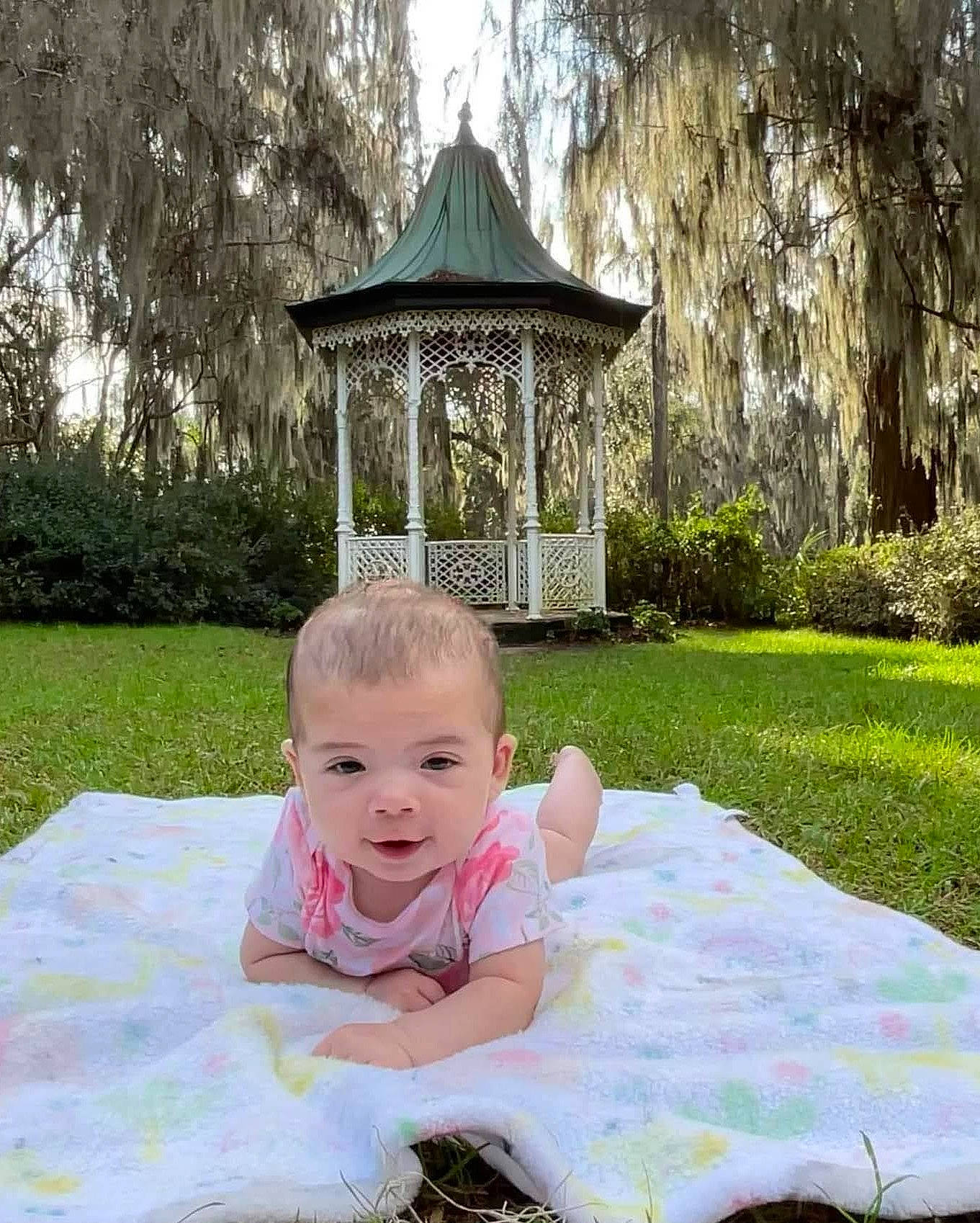 Neveah joined the competition — help win amazing prizes! baby, baby_toddler_clothing, botany, fun, gazebo, grass, grass_family, green, happy, lawn, leaf, leisure, people_in_nature, person, plant, recreation, shrub, sitting, smile, toddler