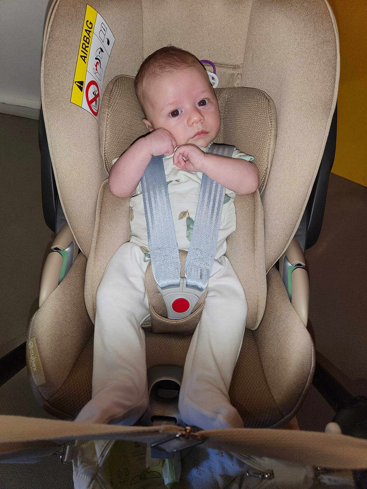 Milhan participe au concours pour gagner de l'argent avec cette photo : baby, car_seat, infant, child, seatbelt, straps, beige, clothing, indoors, person, sitting, cute, small, young, face, head, safety, transport, car, toddler