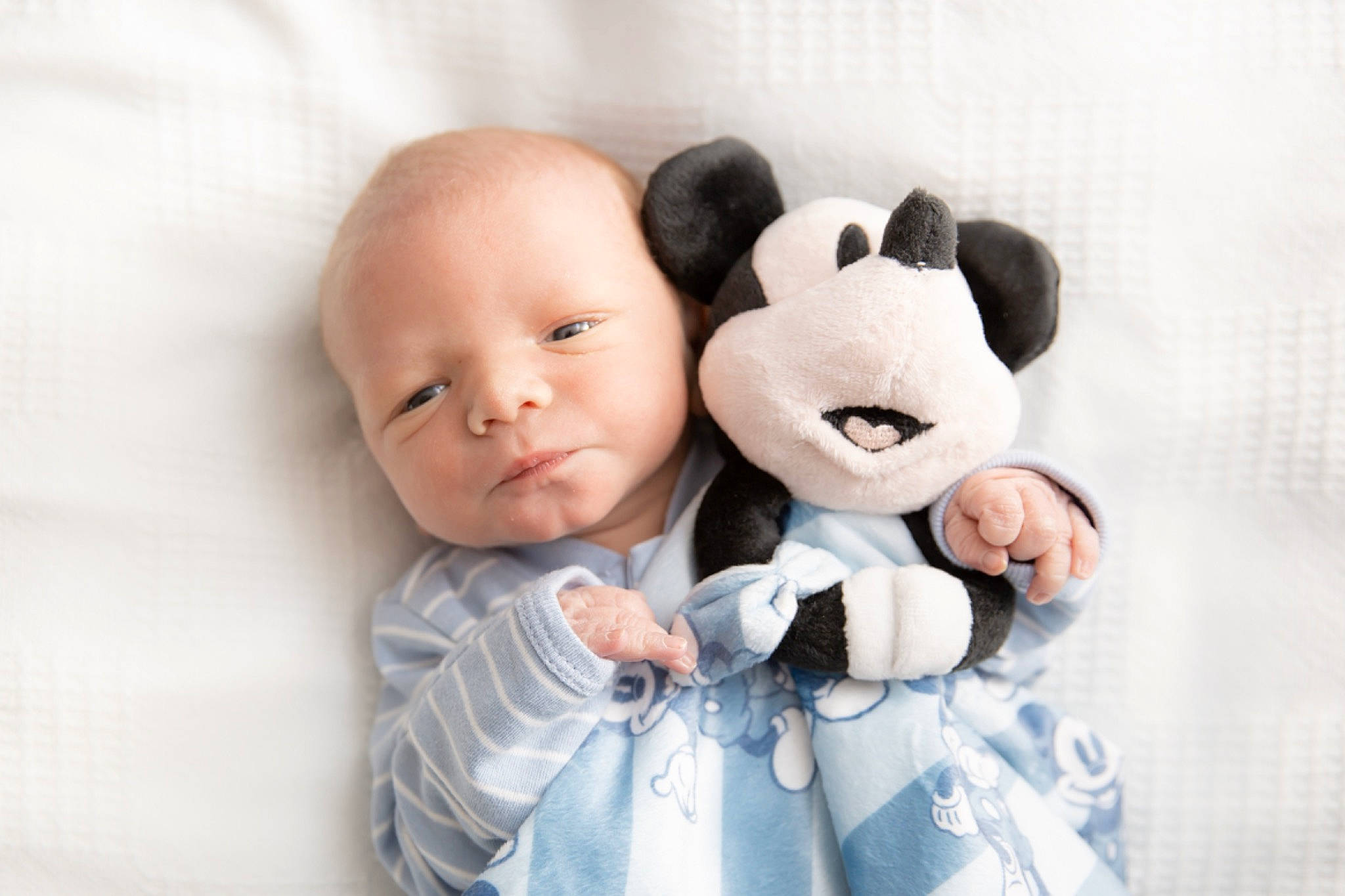 Alexzander is registered to the contest to win money with this photo: baby, baby_toddler_clothing, cheek, comfort, ear, eye, eyelash, finger, fur, gesture, happy, head, interaction, nose, person, skin, sleeve, stuffed_toy, thumb, toddler