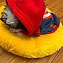 Snoopy joined the competition — help win amazing prizes! dog, puppy, hood, red_hood, yellow_cushion, plush, wooden_floor, pet_clothing, small_dog, fluffy, indoor, resting, cozy, cute, fur, animal, domestic_animal, canine, snuggled, casual