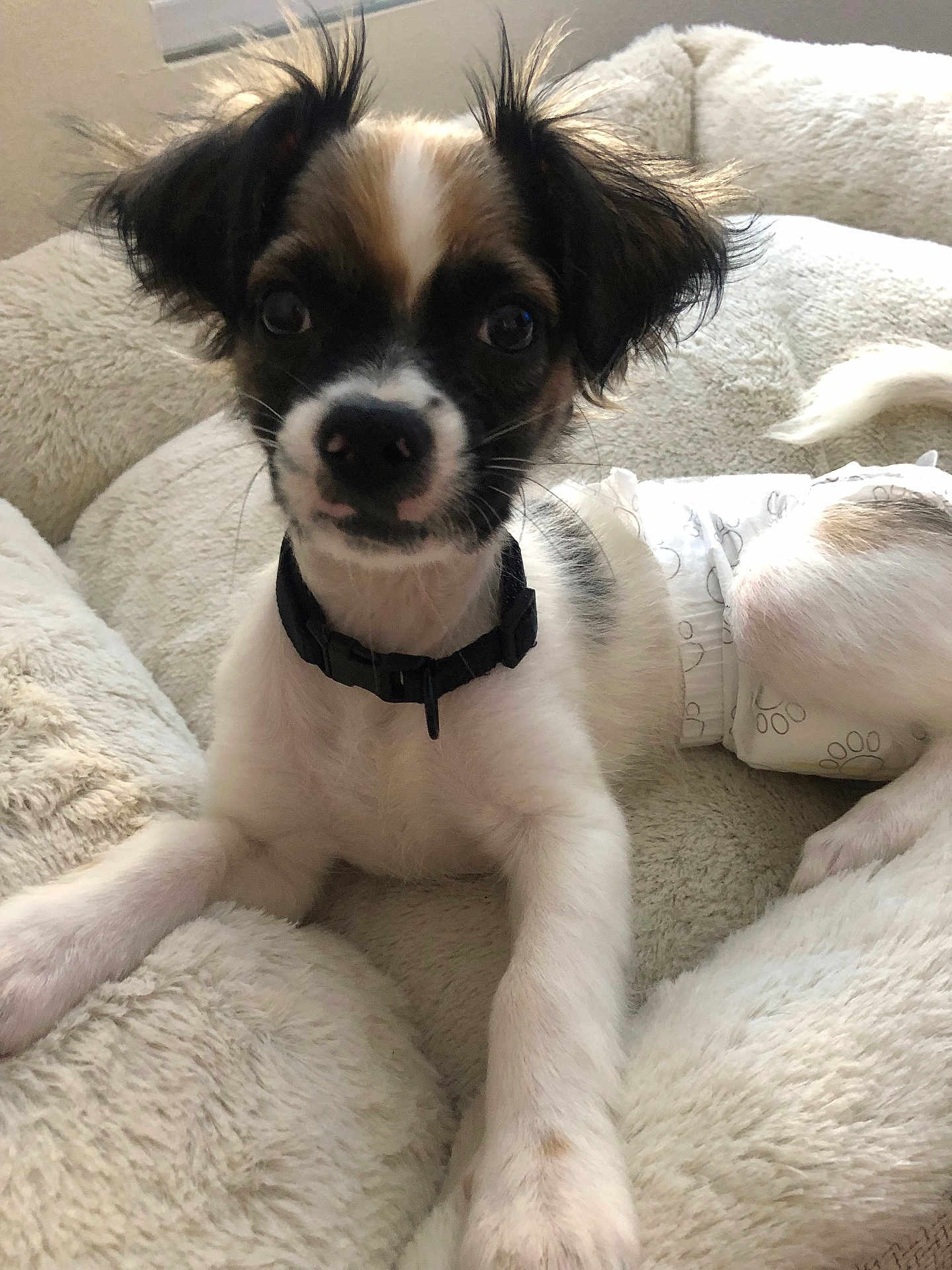 Max