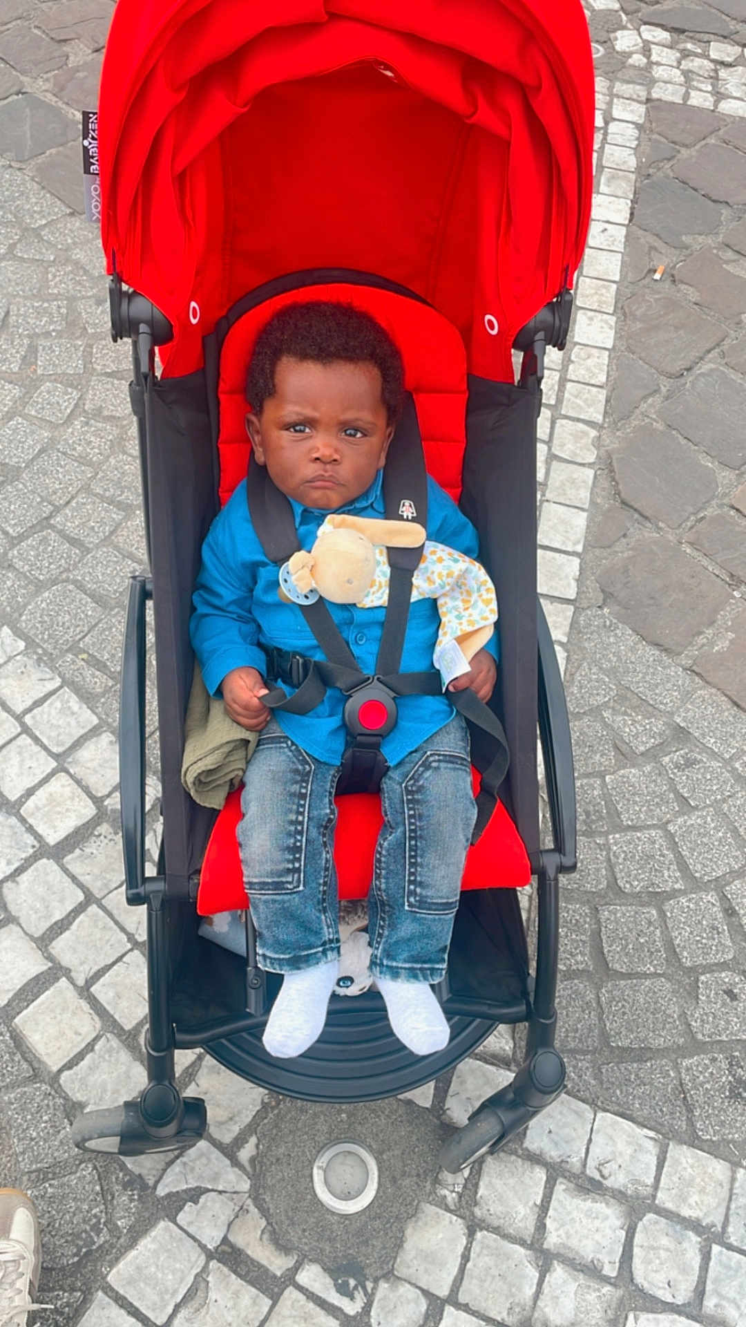 Aylan a rejoint le concours — aidez-le/la à gagner de superbes lots ! baby, stroller, red, blue_shirt, denim_jeans, soft_toy, pacifier, cobblestone, outdoor, child, serious_face, footwear, socks, baby_clothing, seatbelt, toy_bunny, sidewalk, urban, street, infant