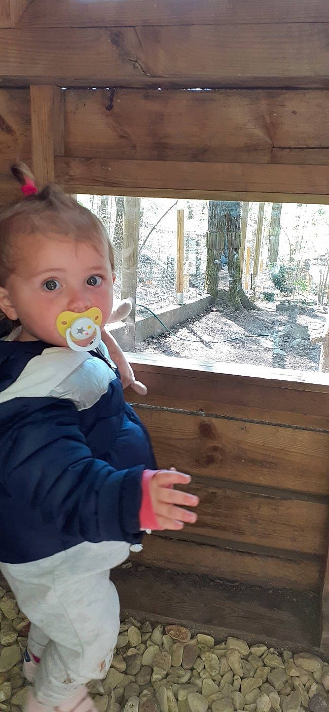 Enola a rejoint le concours — aidez-le/la à gagner de superbes lots ! baby, baby_toddler_clothing, chair, cheek, fun, happy, hardwood, leisure, nose, person, plant, room, sitting, skin, thumb, toddler, toy, tree, vacation, window