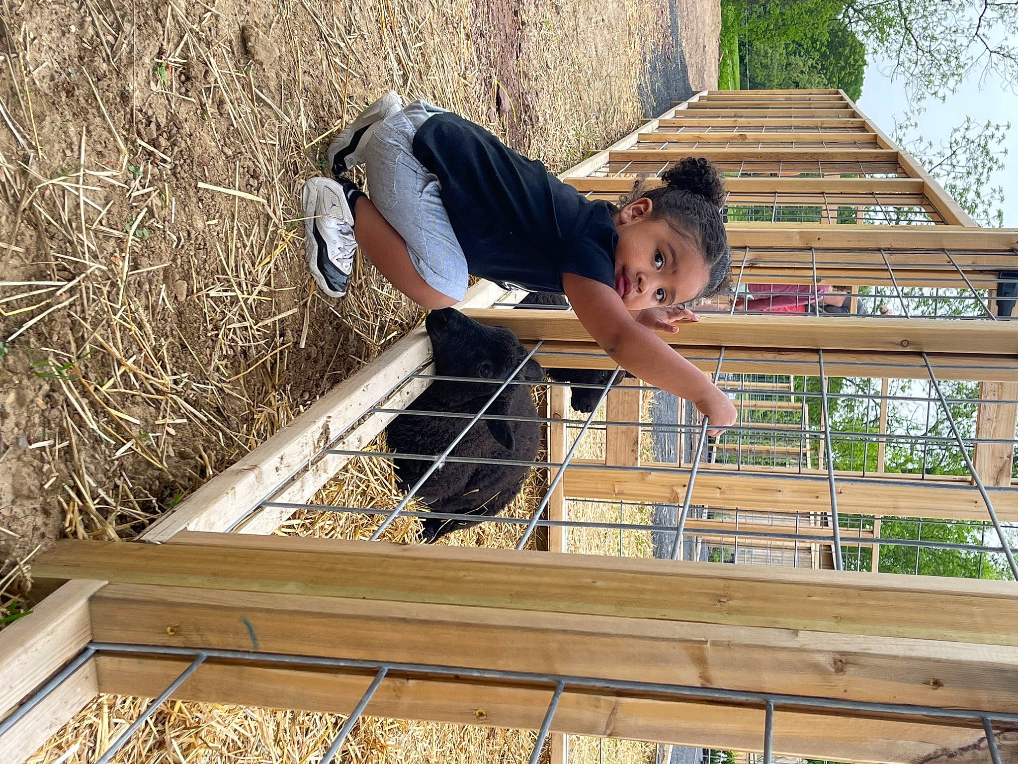 Koda is registered to the contest to win money with this photo: child, fun, grass, handrail, happy, house, human_leg, leisure, person, recreation, roof, shorts, sitting, soil, sunglasses, t_shirt, thigh, toddler, track, tree