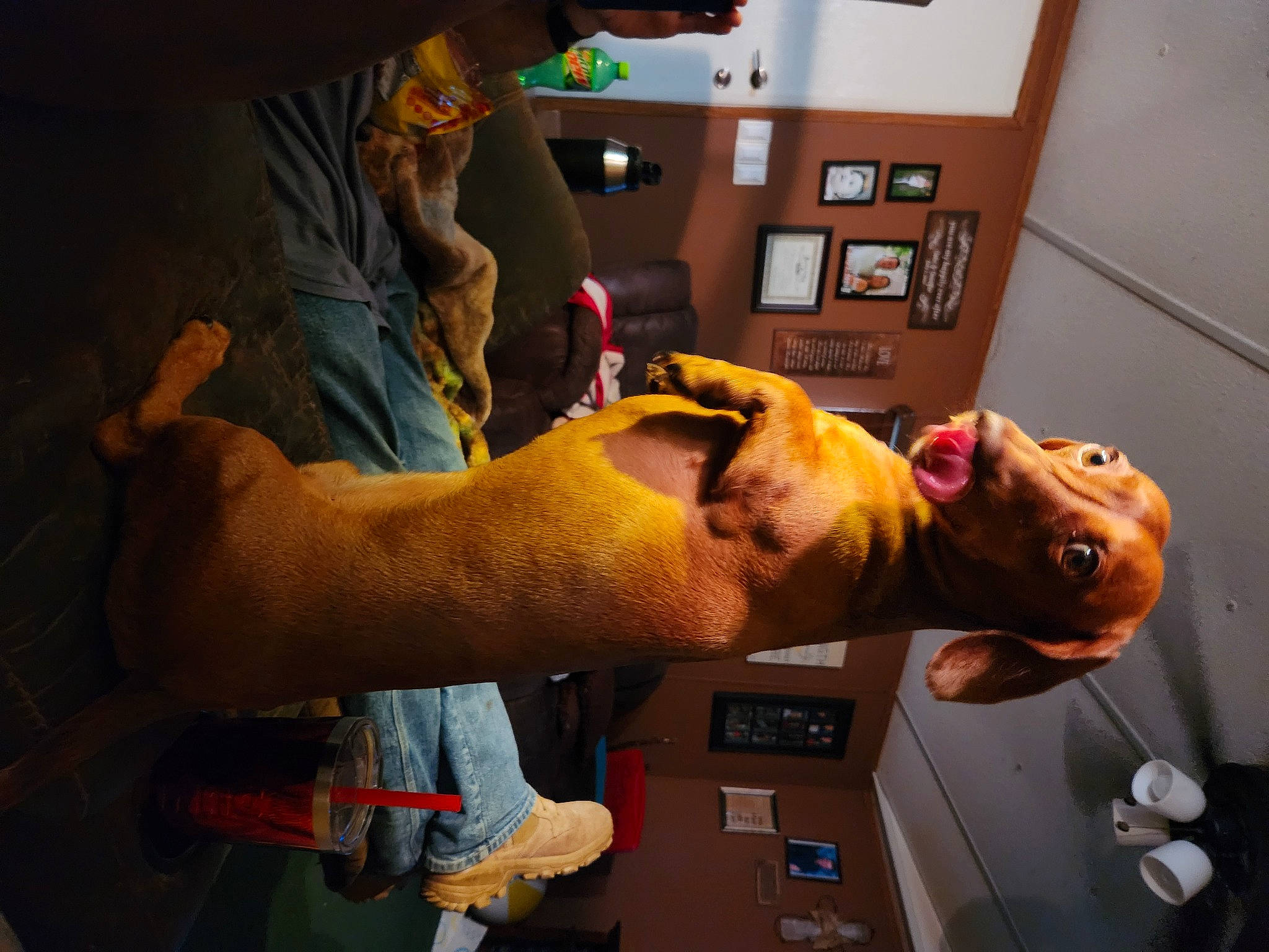 Mator joined the competition — help win amazing prizes! abdomen, animation, chest, elbow, eyewear, flesh, fun, gesture, hat, human_leg, jaw, knee, room, selfie, thigh, thumb, trunk, visual_arts, wood, wrist