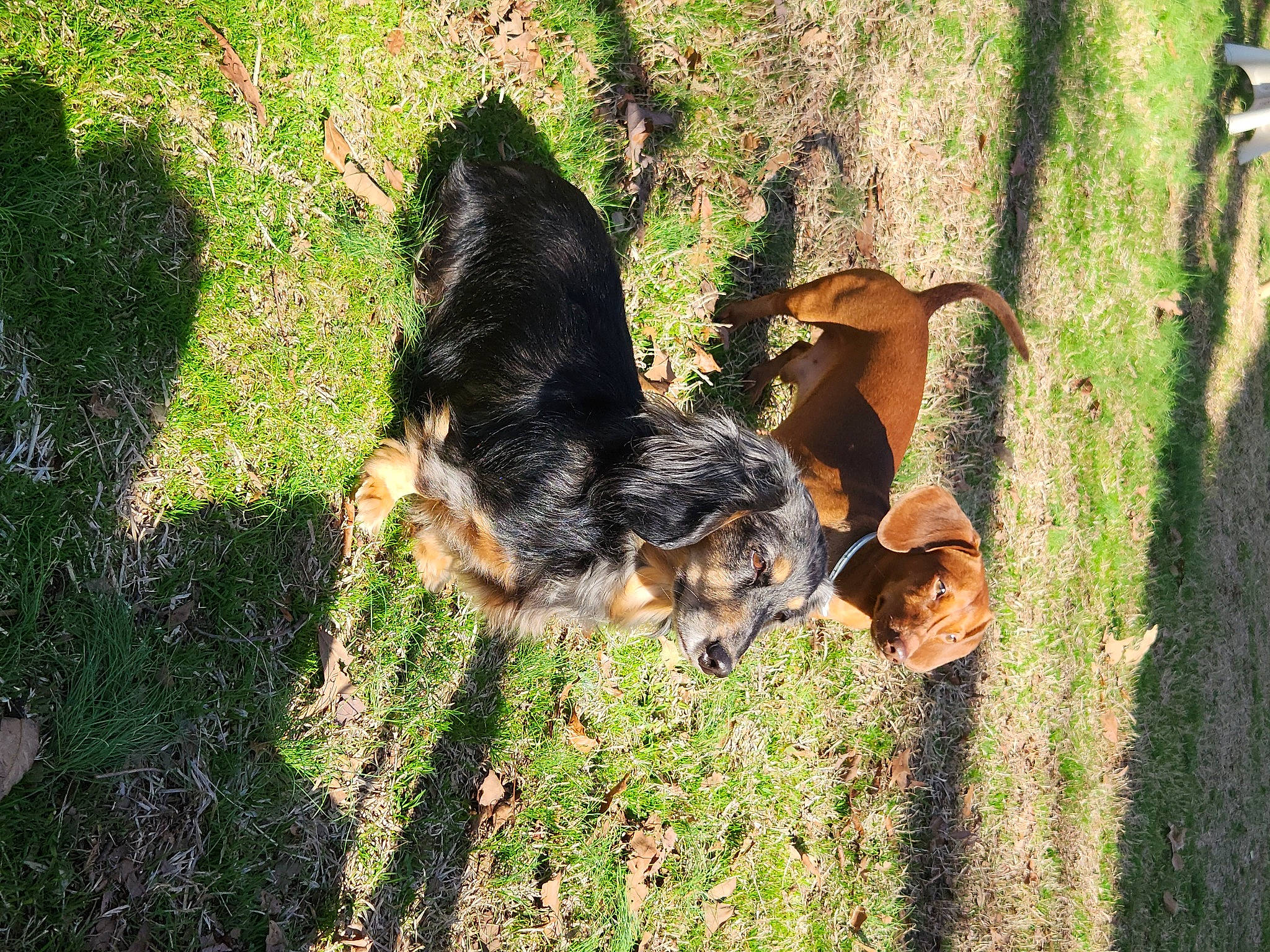 Mator And Oscar Dewayne Meyer