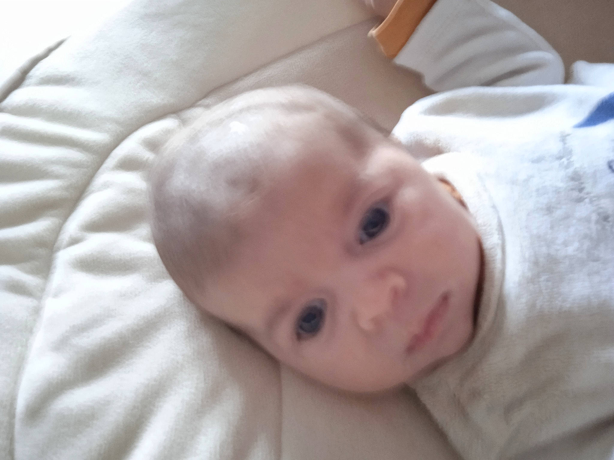 Rose participe au concours pour gagner de l'argent avec cette photo : baby, baby_toddler_clothing, cheek, child, comfort, no_expression, nose, person, skin, sleeve, toddler