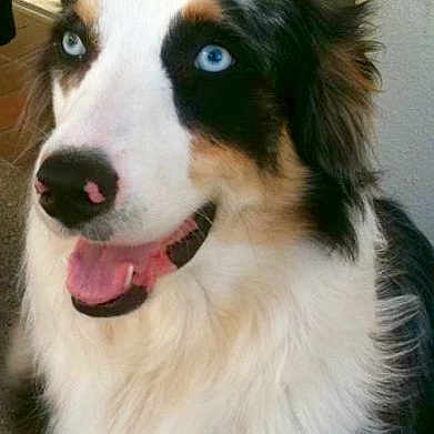 Fiona