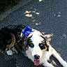 Fiona participe au concours pour gagner de l'argent avec cette photo :