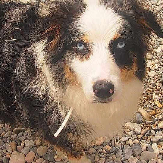Fiona