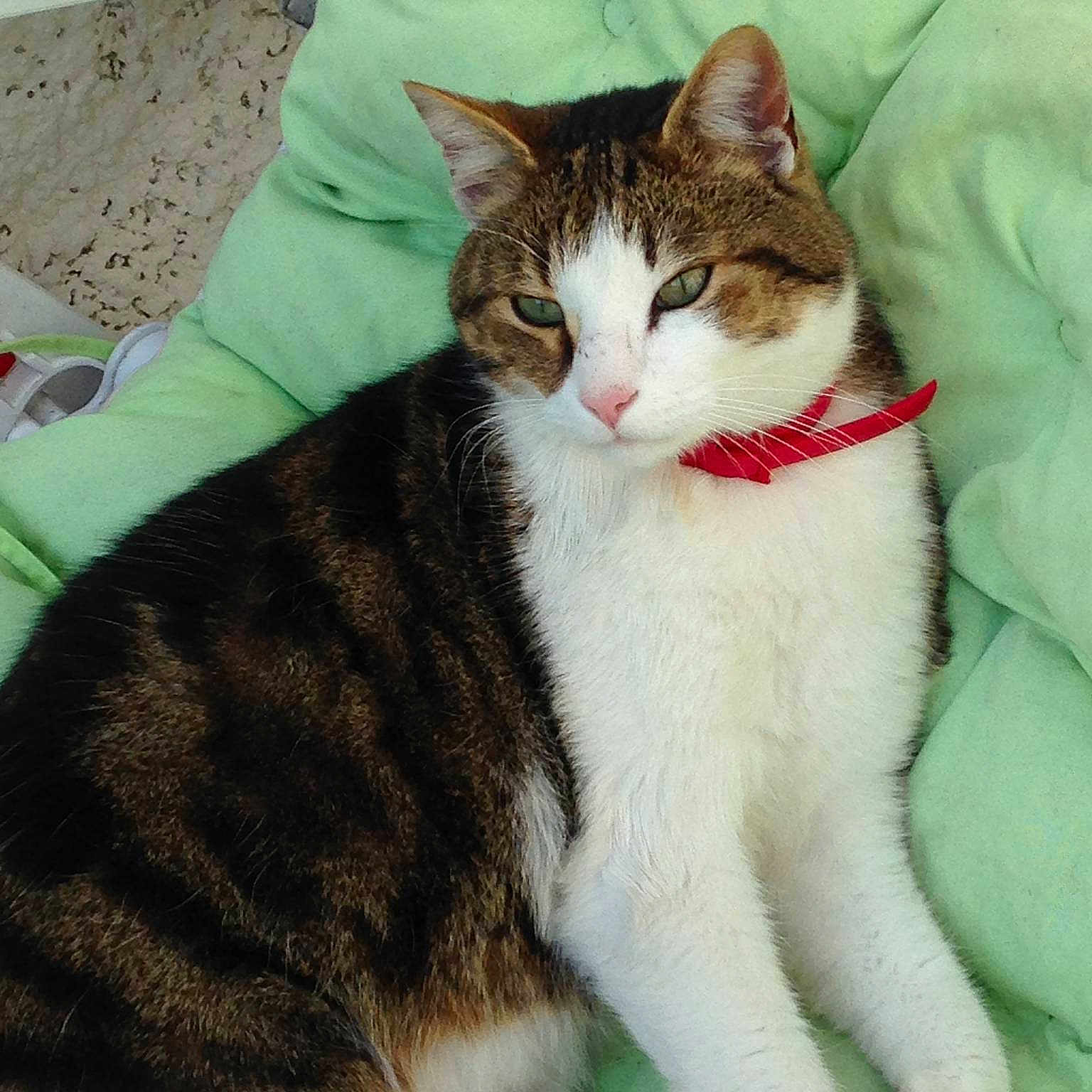 Filou