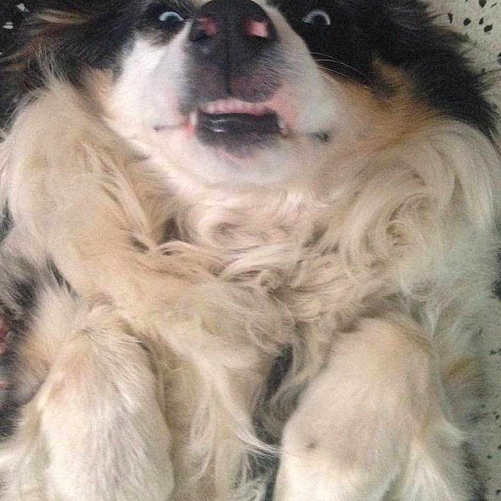 Fiona