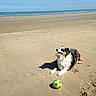 Fiona participe au concours pour gagner de l'argent avec cette photo :