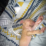 Beyla a rejoint le concours — aidez-le/la à gagner de superbes lots ! animal, blanket, canine, comfort, cozy, cute, dog, fur, indoor, nap, patterned_blanket, paw, pet, puppy, relaxation, resting, sleeping, snout, soft, young_dog