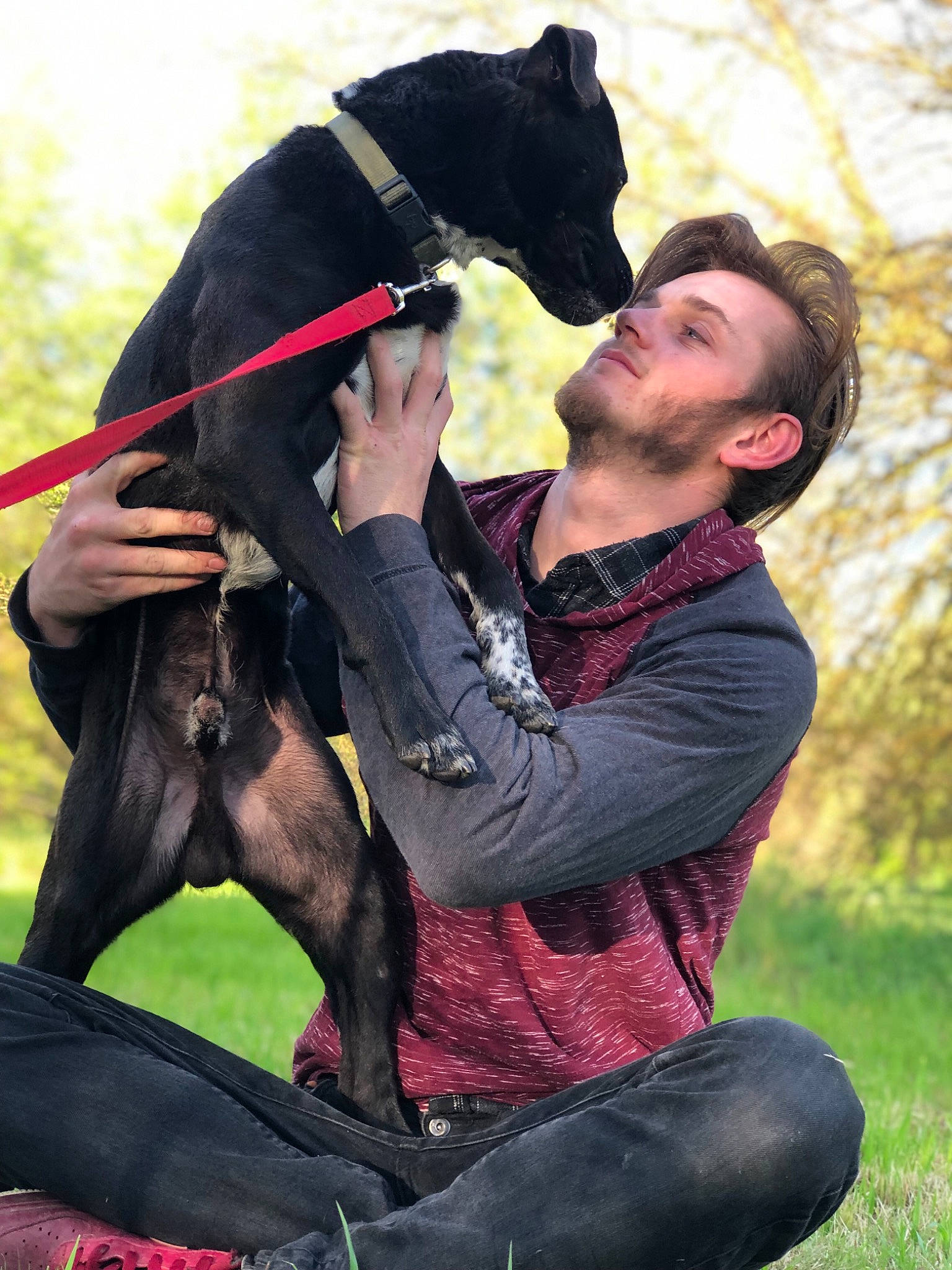 Doobie is registered to the contest to win money with this photo: adventure, animal_sports, beard, carnivore, companion_dog, dog, dog_breed, dog_sports, fashion_accessory, fun, gesture, grass, happy, leash, leisure, people_in_nature, personal_protective_equipment, plant, recreation, tree