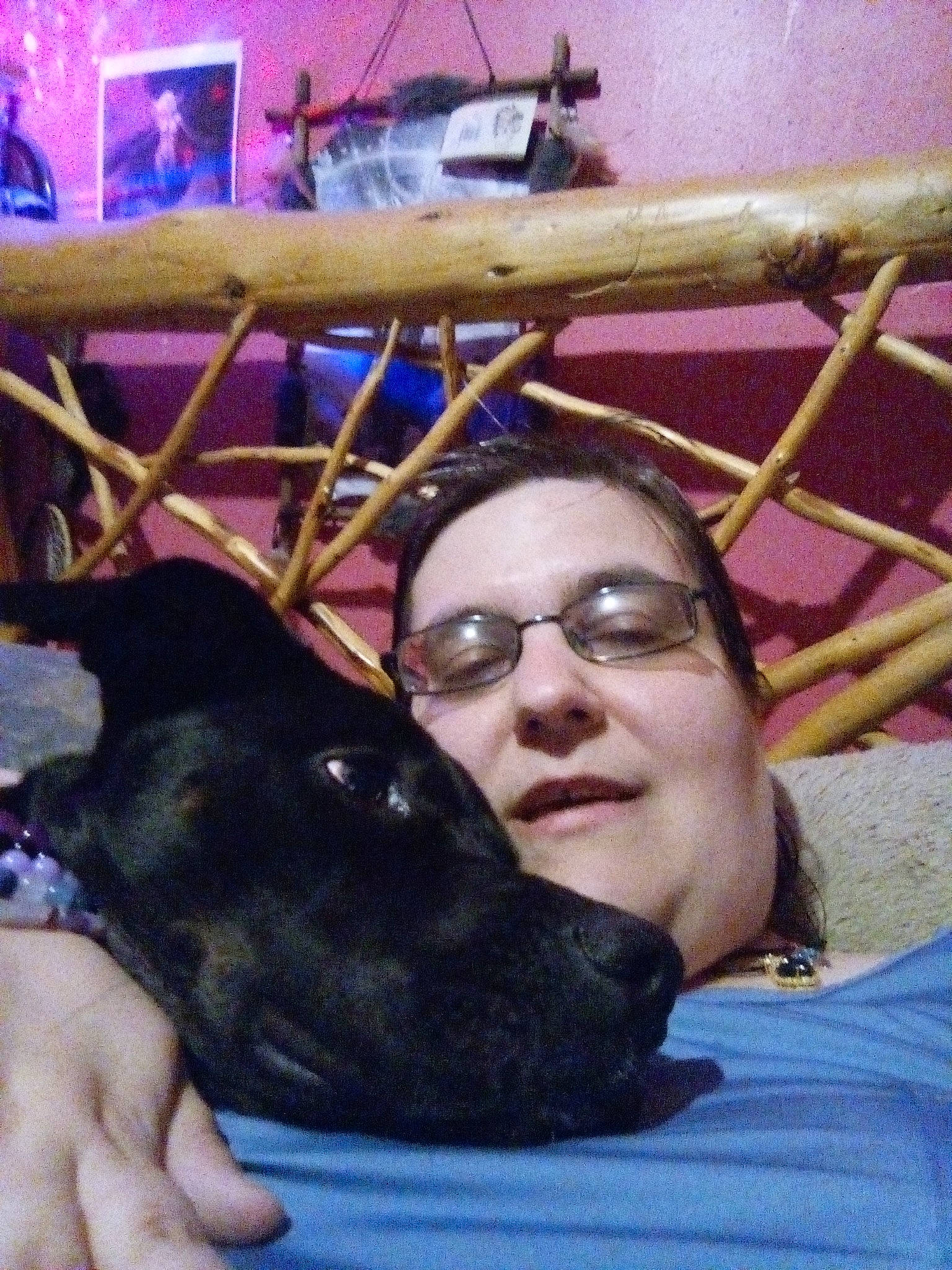 Onyx joined the competition — help win amazing prizes! canidae, carnivore, comfort, companion_dog, dog, dog_breed, eyewear, fawn, fun, fur, glasses, happy, lap, sitting, smile, snout, sporting_group, sunglasses, vision_care, working_animal