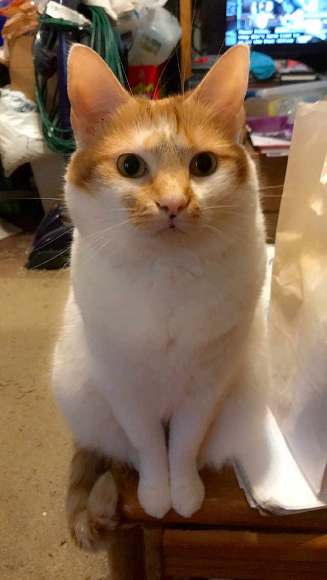 Missy