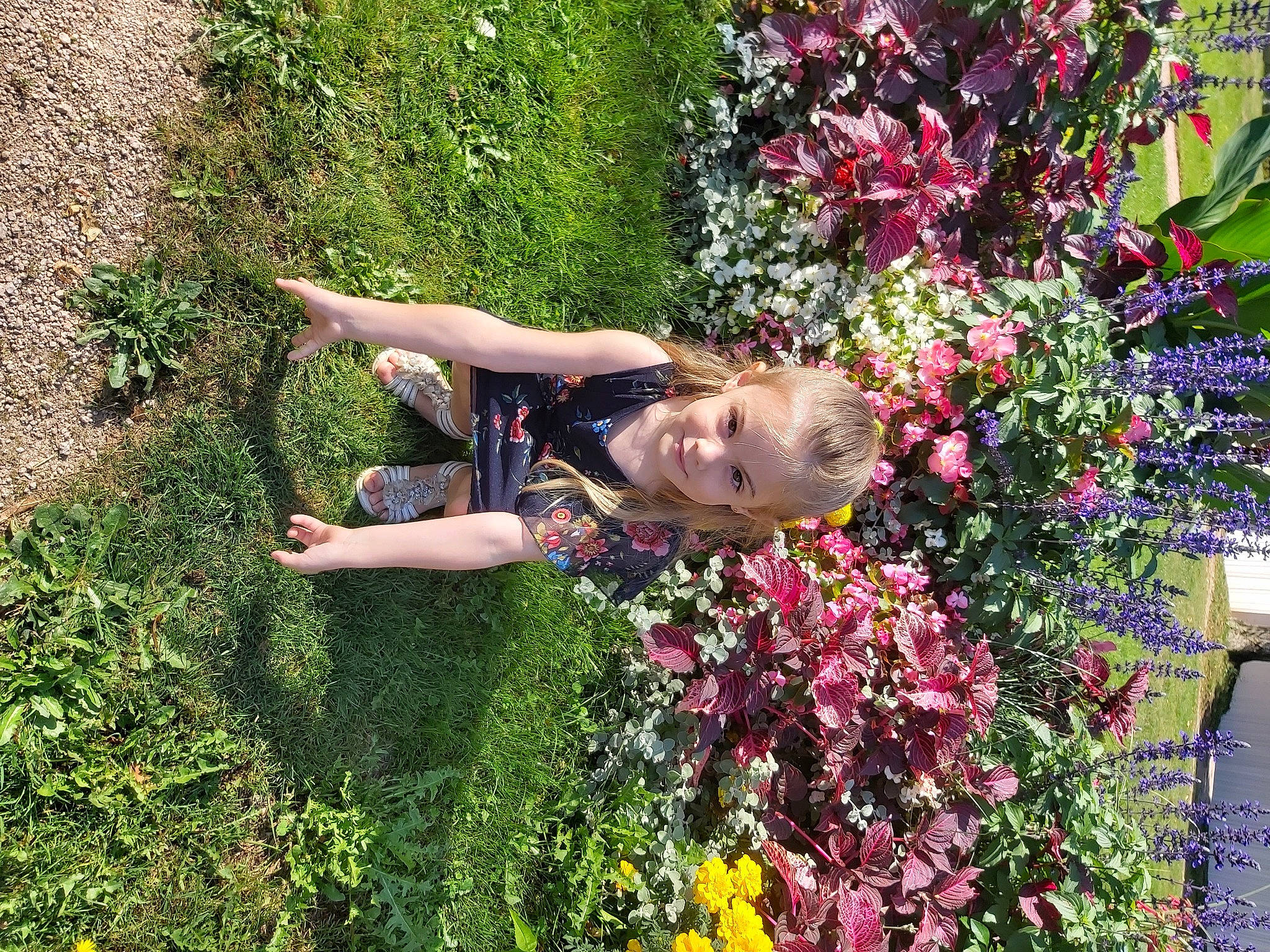 Kaïlly participe au concours pour gagner de l'argent avec cette photo : botany, flower, garden, grass, joy, leisure, person, plant, shrub, spring