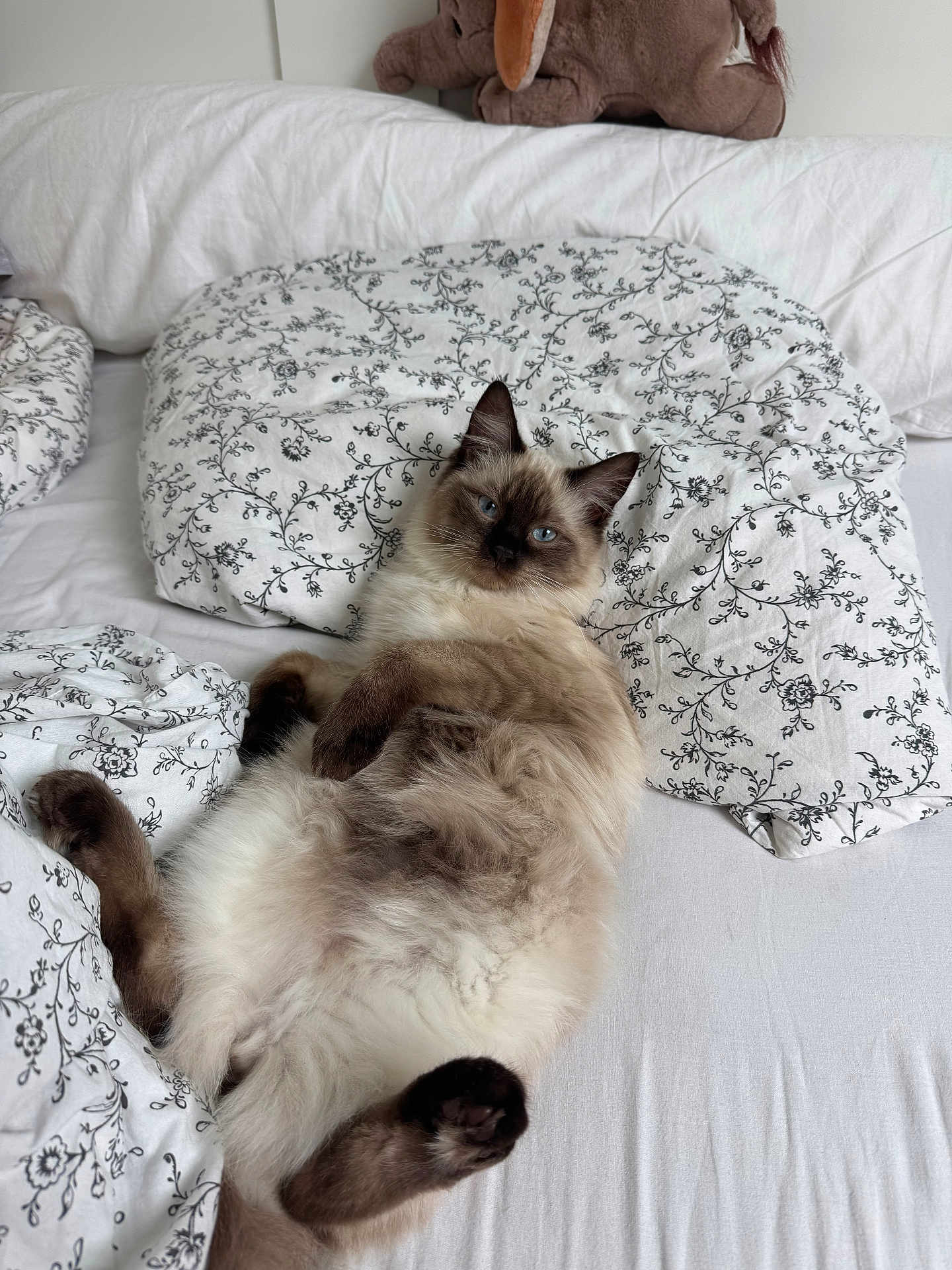 Nala