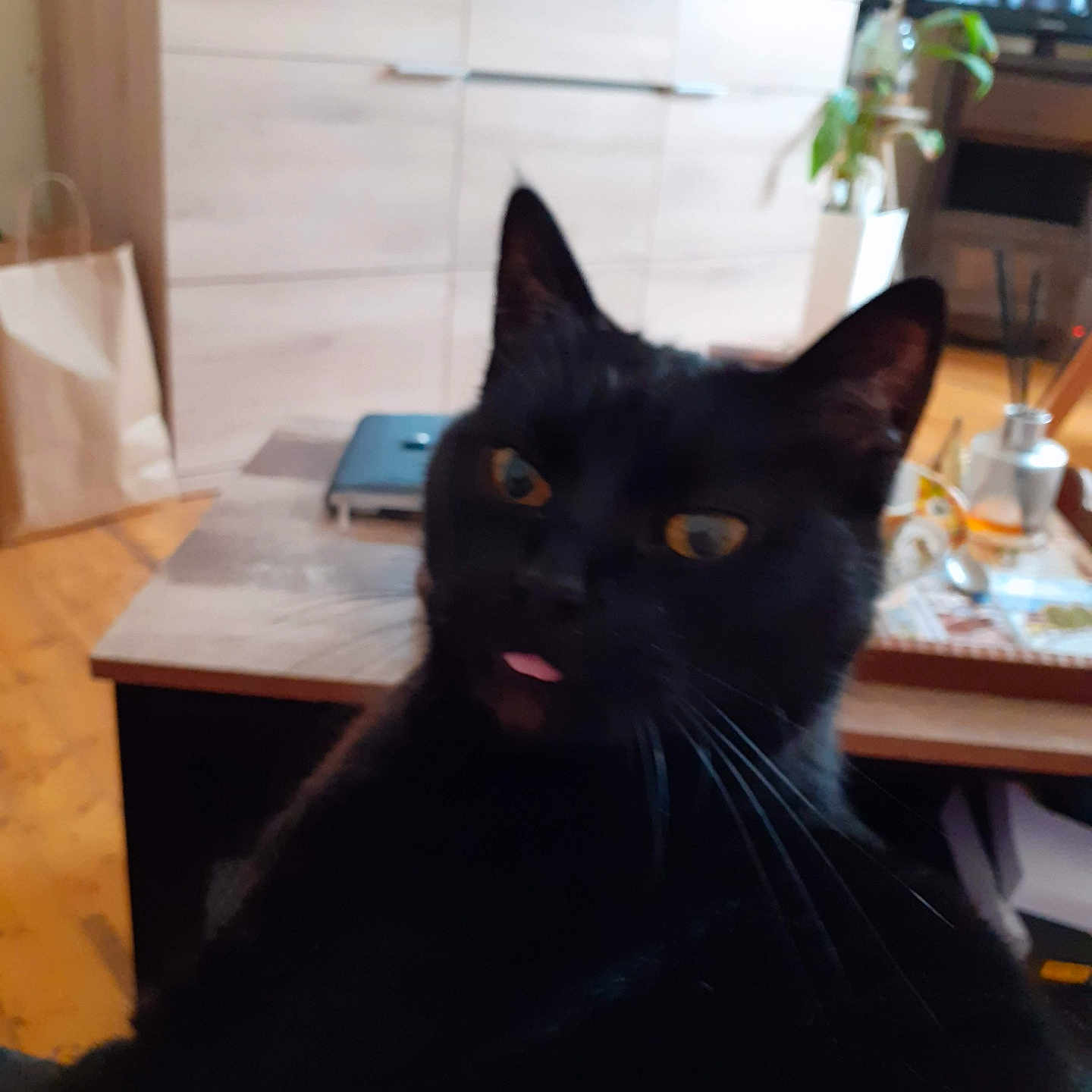 Nono