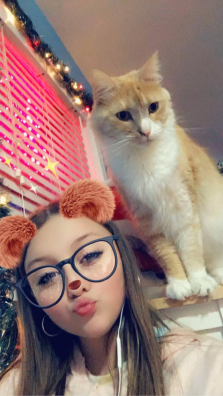 Simba joined the competition — help win amazing prizes! aegean_cat, american_curl, asian, blond, carnivore, cat, eyewear, fawn, felidae, fur, glasses, kitten, long_hair, nose, photography, selfie, small_to_medium_sized_cats, turkish_van, whiskers