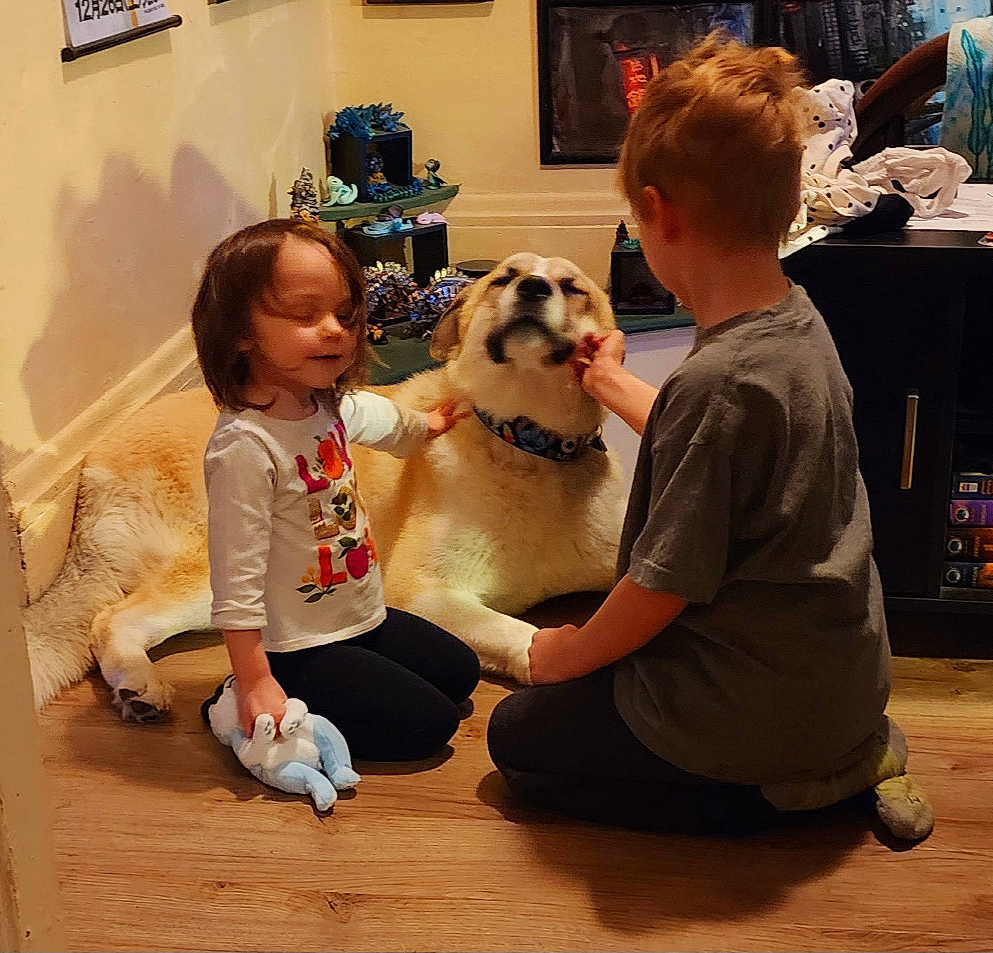 Keira joined the competition — help win amazing prizes! carnivore, chair, child, christmas, companion_dog, dog, dog_breed, event, eyewear, fawn, flooring, fun, fur, happy, lap, leisure, picture_frame, sitting, sporting_group, toddler