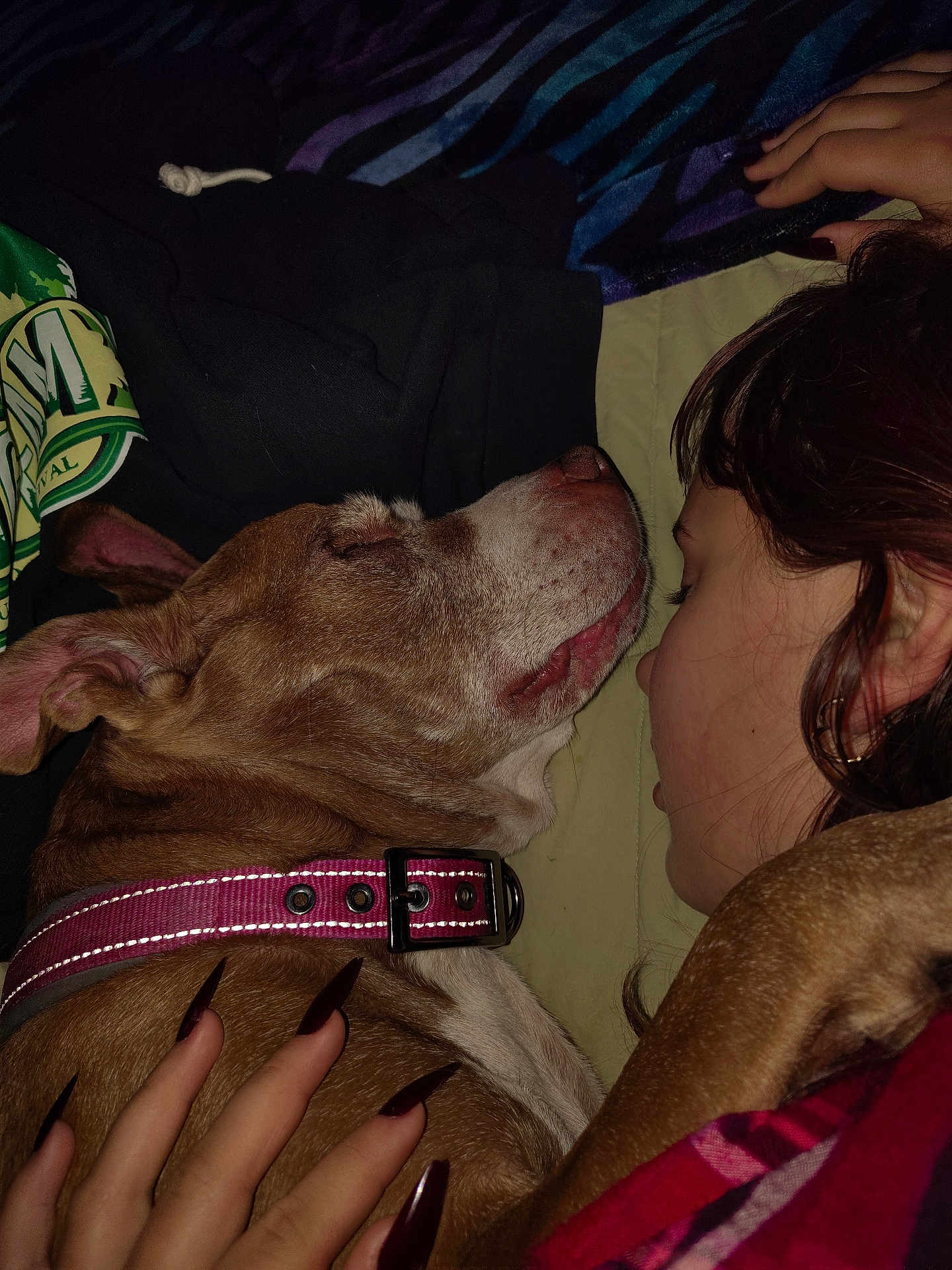 Bailey joined the competition — help win amazing prizes! dog, person, sleeping, hand, fur, nails, collar, blanket, jacket, face, closeup, resting, cozy, indoor, brown_fur, human, animal, pet, comfort, relaxation