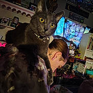 Ash is registered to the contest to win money with this photo: cat, person, indoor, shoulder, tattoo, yellow_eyes, gray_cat, decor, shelf, curtain, lighting, furniture, portrait, animal, pet, cozy, colorful, face, close_up, room